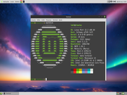  Linux Mint 22
